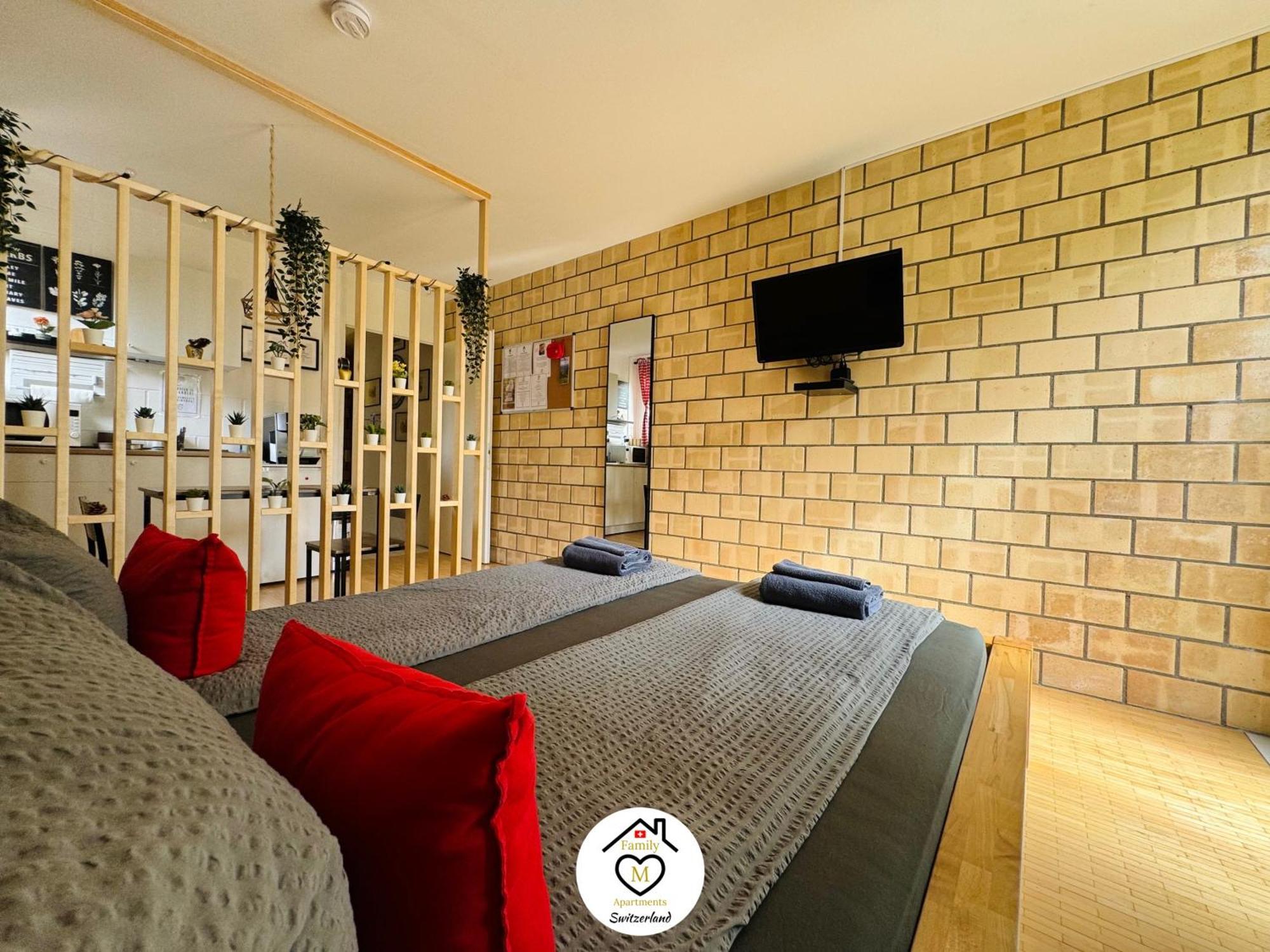 Family M Apartments 1 Kappel bei Olten 外观 照片